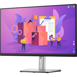 Dell 24" Professional P2422H IPS Monitor